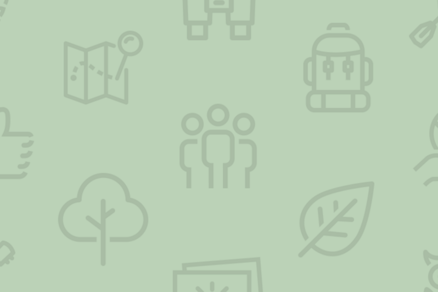 Bild folgt Bild folgt